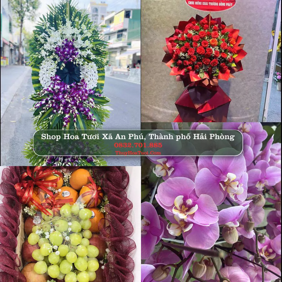 Shop Hoa Tươi Xã An Phú - Thành phố Hải Phòng