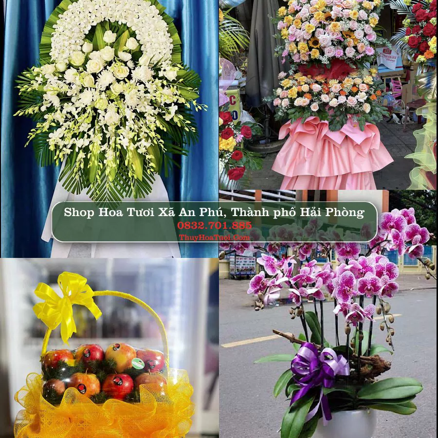 Shop hoa tươi Xã An Phú, Thành phố Hải Phòng - ThuyHoaTuoi.Com giao hoa tận nơi