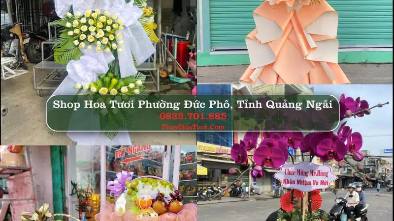 Shop Hoa Tươi Phường Đức Phổ - Tỉnh Quảng Ngãi