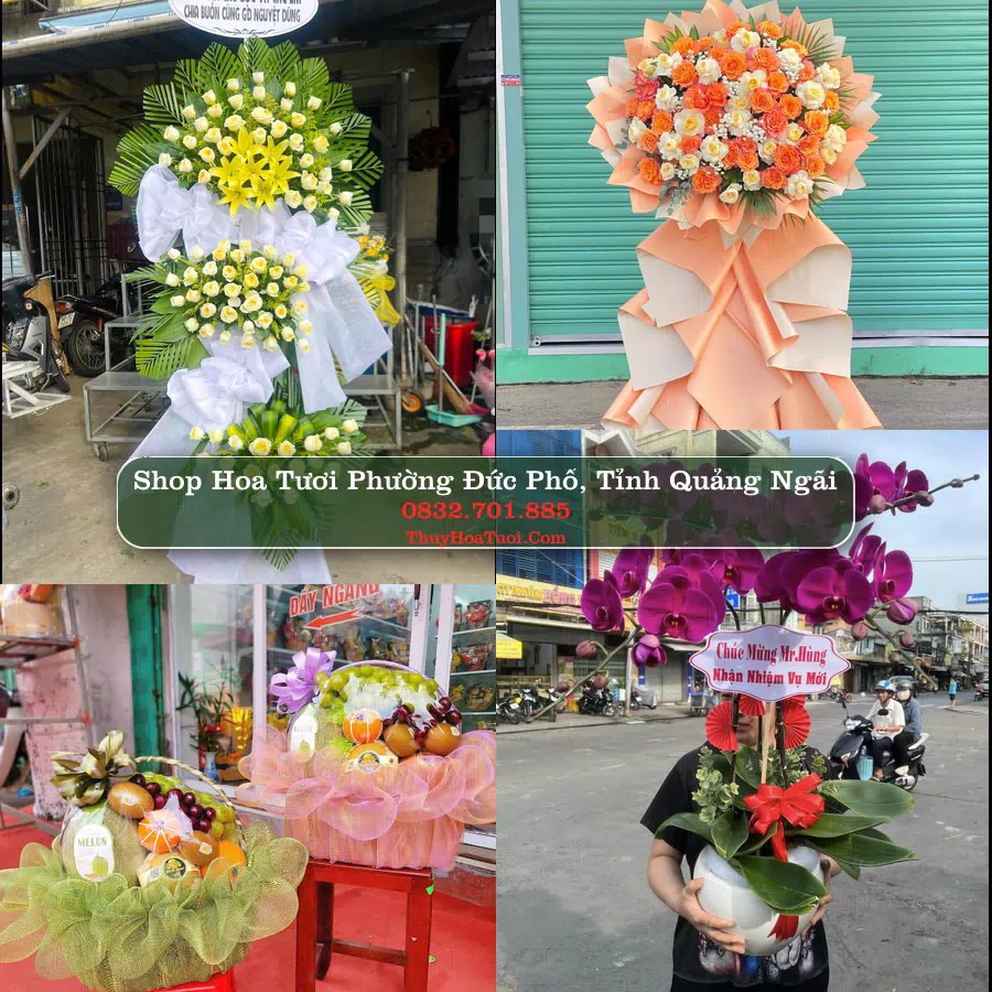 Shop Hoa Tươi Phường Đức Phổ - Tỉnh Quảng Ngãi