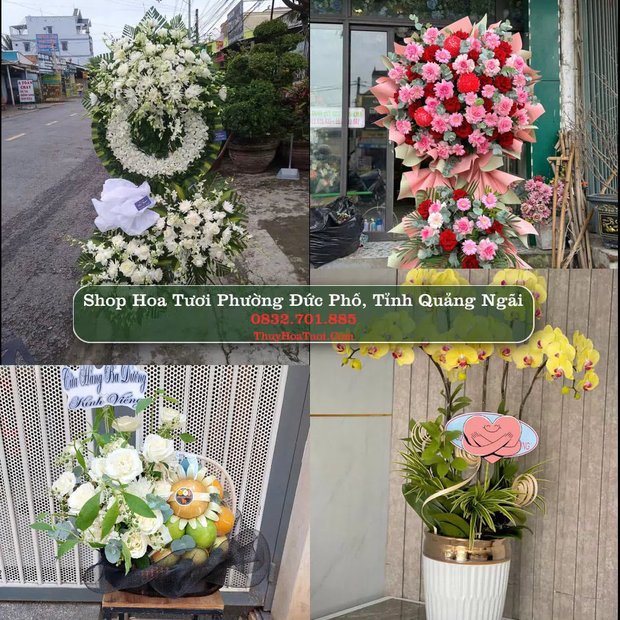 Shop hoa tươi Phường Đức Phổ, Tỉnh Quảng Ngãi - ThuyHoaTuoi.Com giao hoa tận nơi