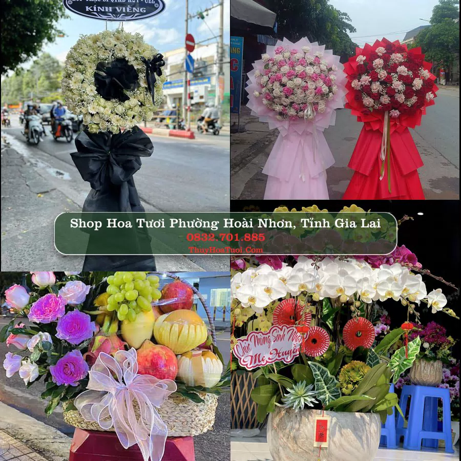 Shop Hoa Tươi Phường Hoài Nhơn - Tỉnh Gia Lai