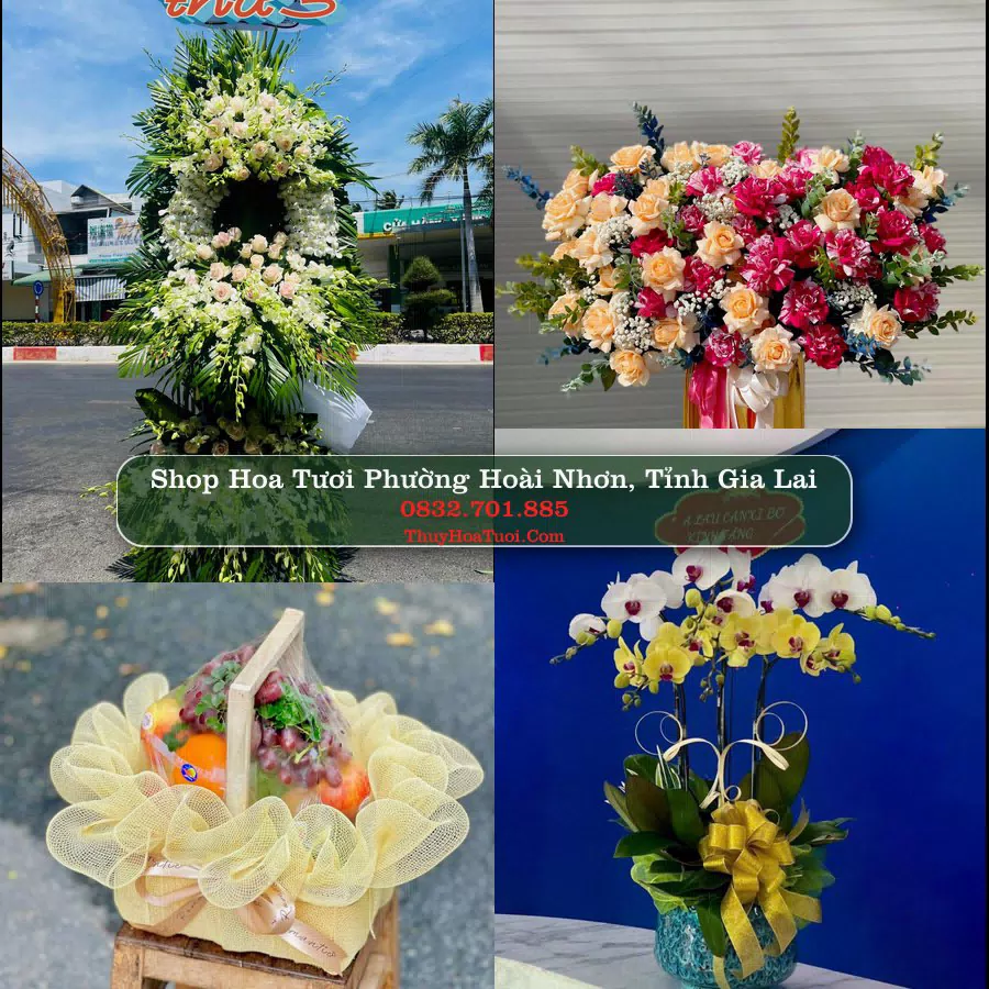 Shop hoa tươi Phường Hoài Nhơn, Tỉnh Gia Lai - ThuyHoaTuoi.Com giao hoa tận nơi