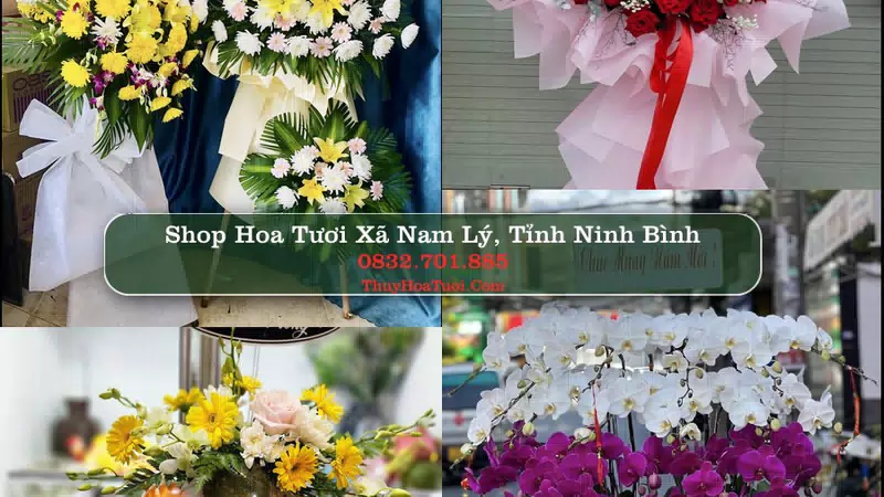 Shop Hoa Tươi Xã Nam Lý - Tỉnh Ninh Bình