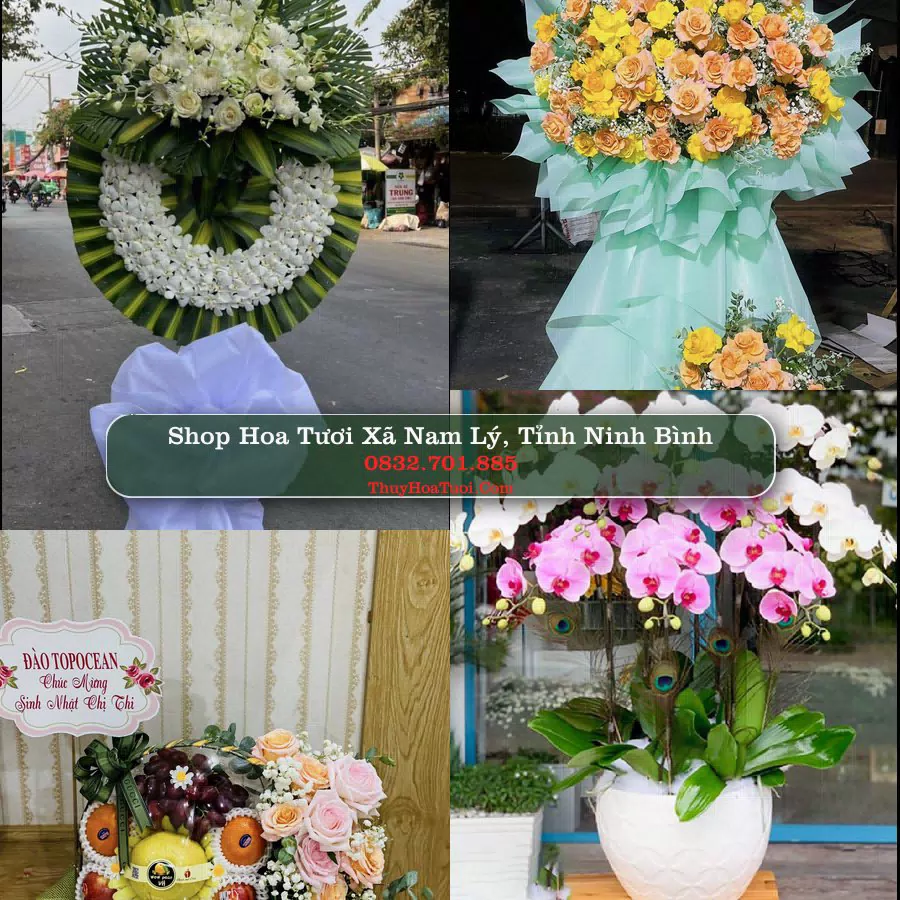 Shop hoa tươi Xã Nam Lý, Tỉnh Ninh Bình - ThuyHoaTuoi.Com giao hoa tận nơi