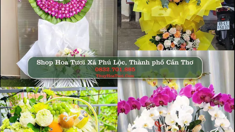Shop Hoa Tươi Xã Phú Lộc - Thành phố Cần Thơ