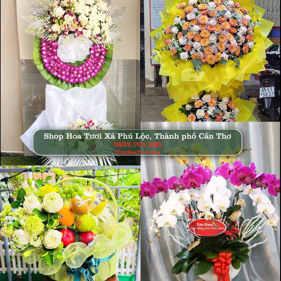 Shop Hoa Tươi Xã Phú Lộc - Thành phố Cần Thơ