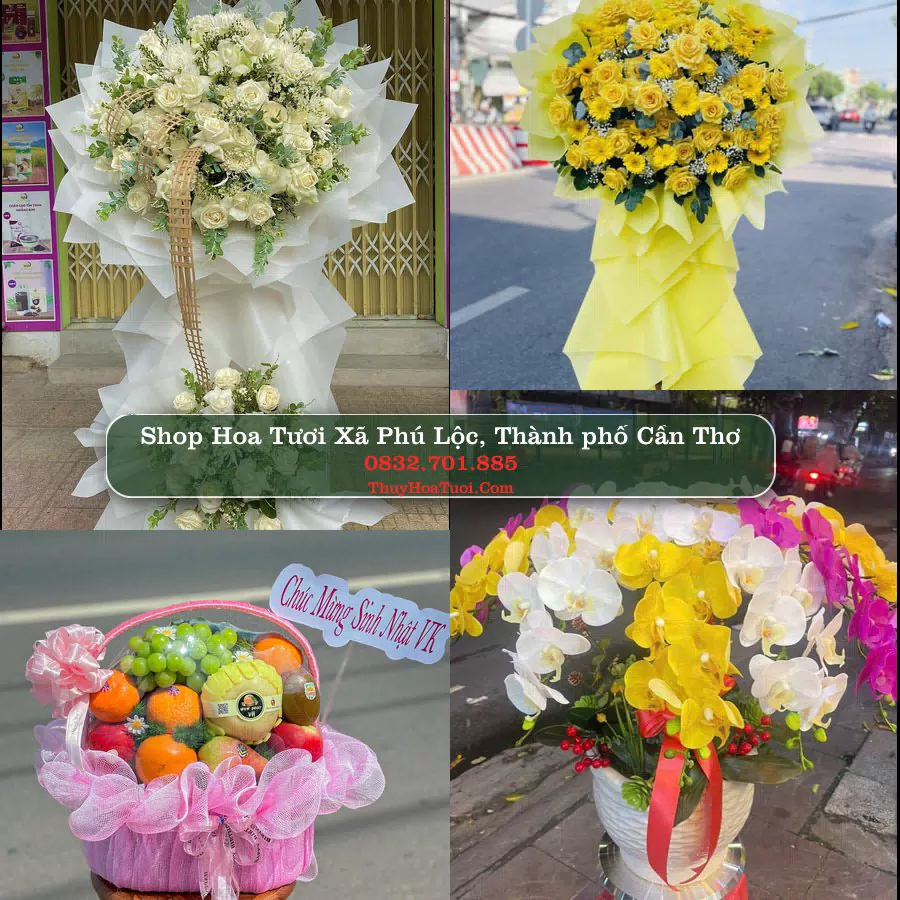 Shop hoa tươi Xã Phú Lộc, Thành phố Cần Thơ - ThuyHoaTuoi.Com giao hoa tận nơi