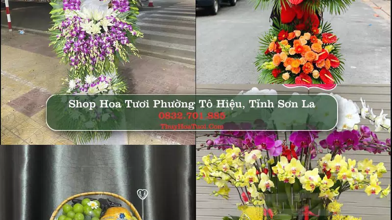 Shop Hoa Tươi Phường Tô Hiệu - Tỉnh Sơn La