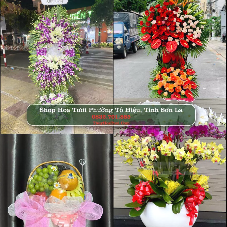 Shop Hoa Tươi Phường Tô Hiệu - Tỉnh Sơn La