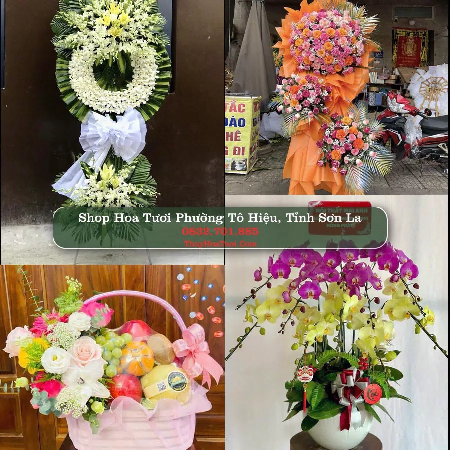 Shop hoa tươi Phường Tô Hiệu, Tỉnh Sơn La - ThuyHoaTuoi.Com giao hoa tận nơi