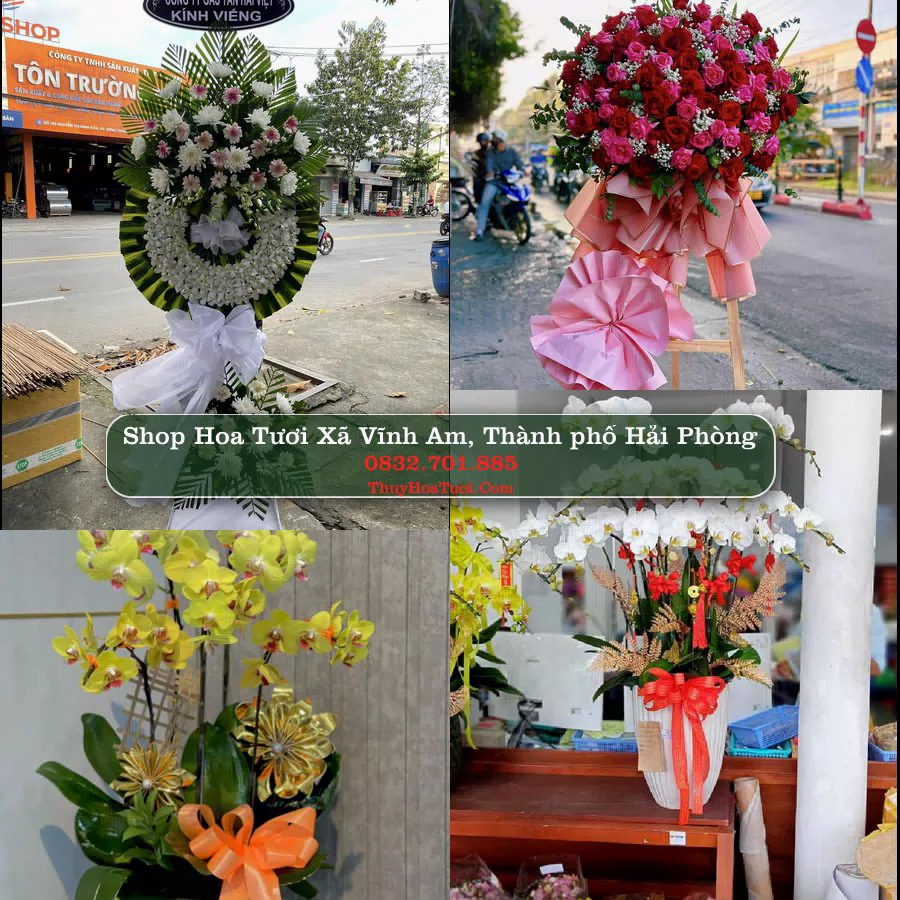 Shop Hoa Tươi Xã Vĩnh Am - Thành phố Hải Phòng