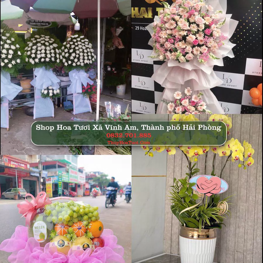 Shop hoa tươi Xã Vĩnh Am, Thành phố Hải Phòng - ThuyHoaTuoi.Com giao hoa tận nơi