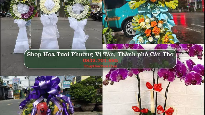 Shop Hoa Tươi Phường Vị Tân - Thành phố Cần Thơ