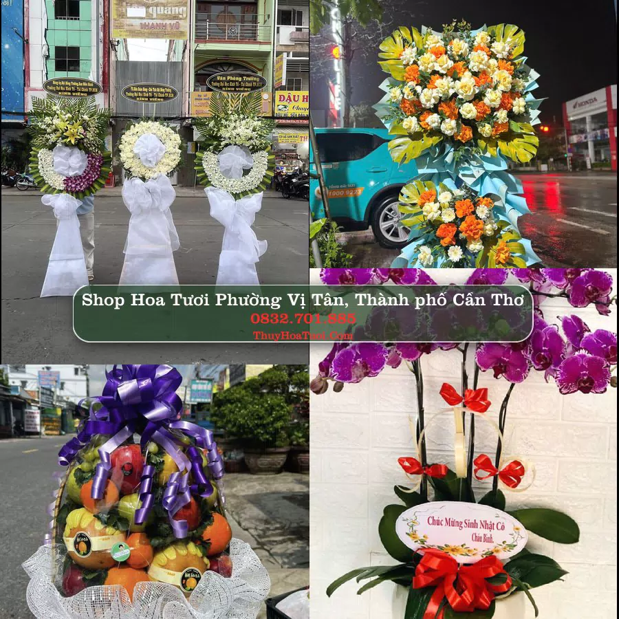 Shop Hoa Tươi Phường Vị Tân - Thành phố Cần Thơ