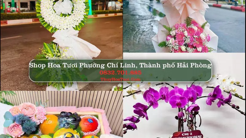 Shop Hoa Tươi Phường Chí Linh - Thành phố Hải Phòng