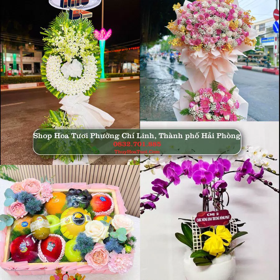 Shop Hoa Tươi Phường Chí Linh - Thành phố Hải Phòng