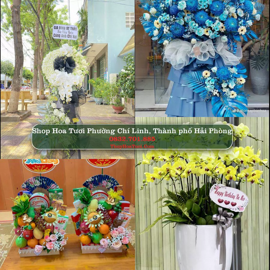 Shop hoa tươi Phường Chí Linh, Thành phố Hải Phòng - ThuyHoaTuoi.Com giao hoa tận nơi