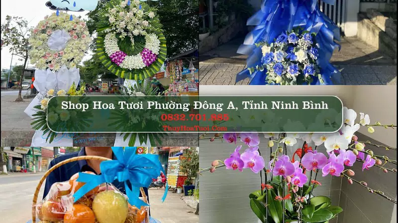 Shop Hoa Tươi Phường Đông A - Tỉnh Ninh Bình