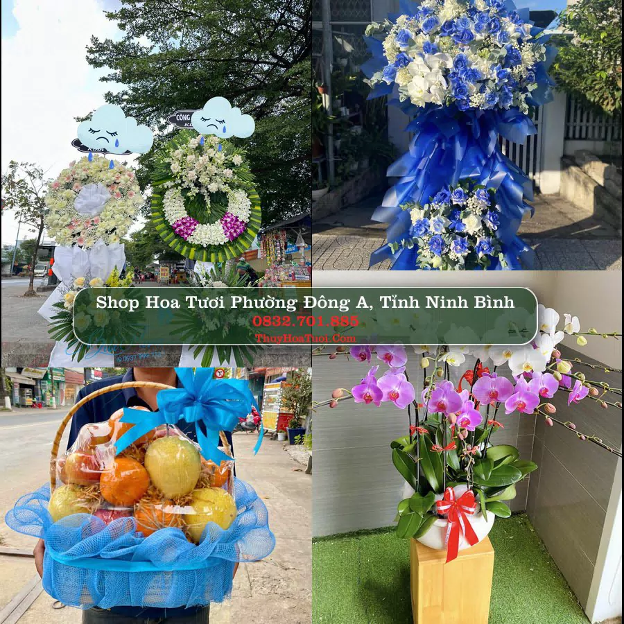 Shop Hoa Tươi Phường Đông A - Tỉnh Ninh Bình