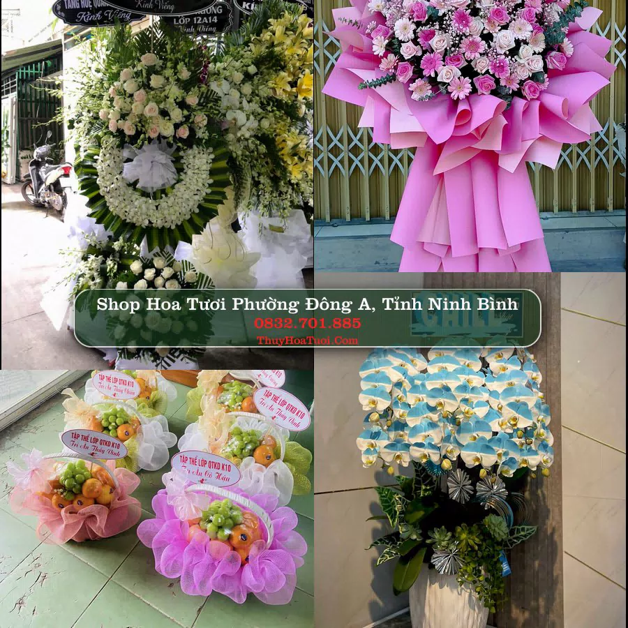 Shop hoa tươi Phường Đông A, Tỉnh Ninh Bình - ThuyHoaTuoi.Com giao hoa tận nơi