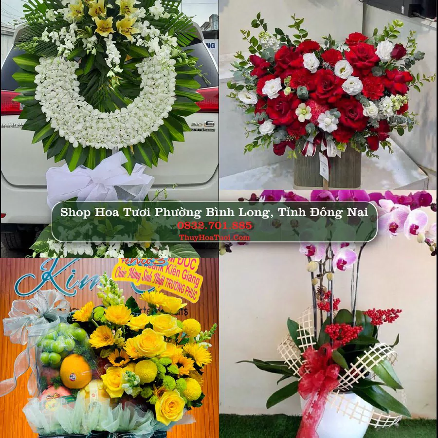 Shop hoa tươi Phường Bình Long, Tỉnh Đồng Nai - ThuyHoaTuoi.Com giao hoa tận nơi