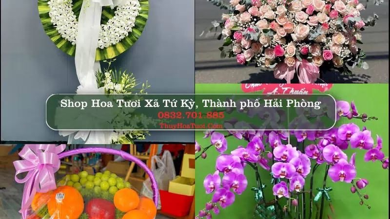 Shop Hoa Tươi Xã Tứ Kỳ - Thành phố Hải Phòng
