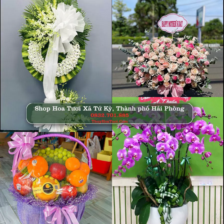 Shop Hoa Tươi Xã Tứ Kỳ - Thành phố Hải Phòng