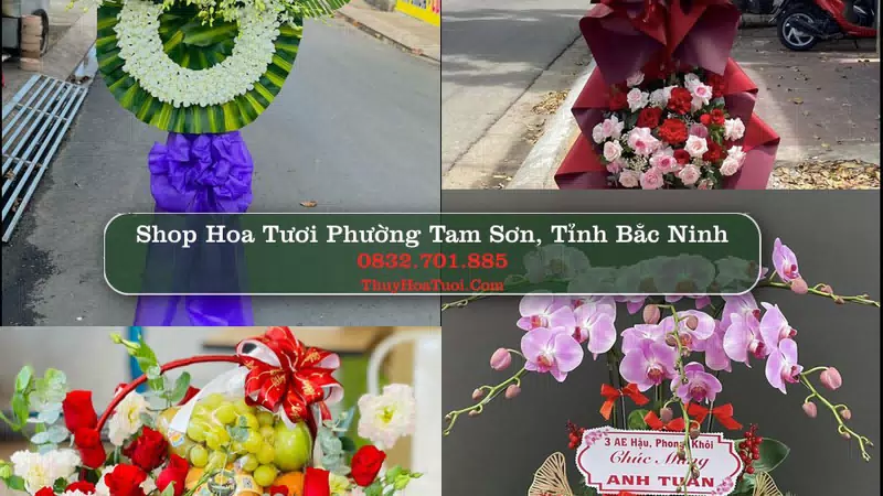 Shop Hoa Tươi Phường Tam Sơn - Tỉnh Bắc Ninh