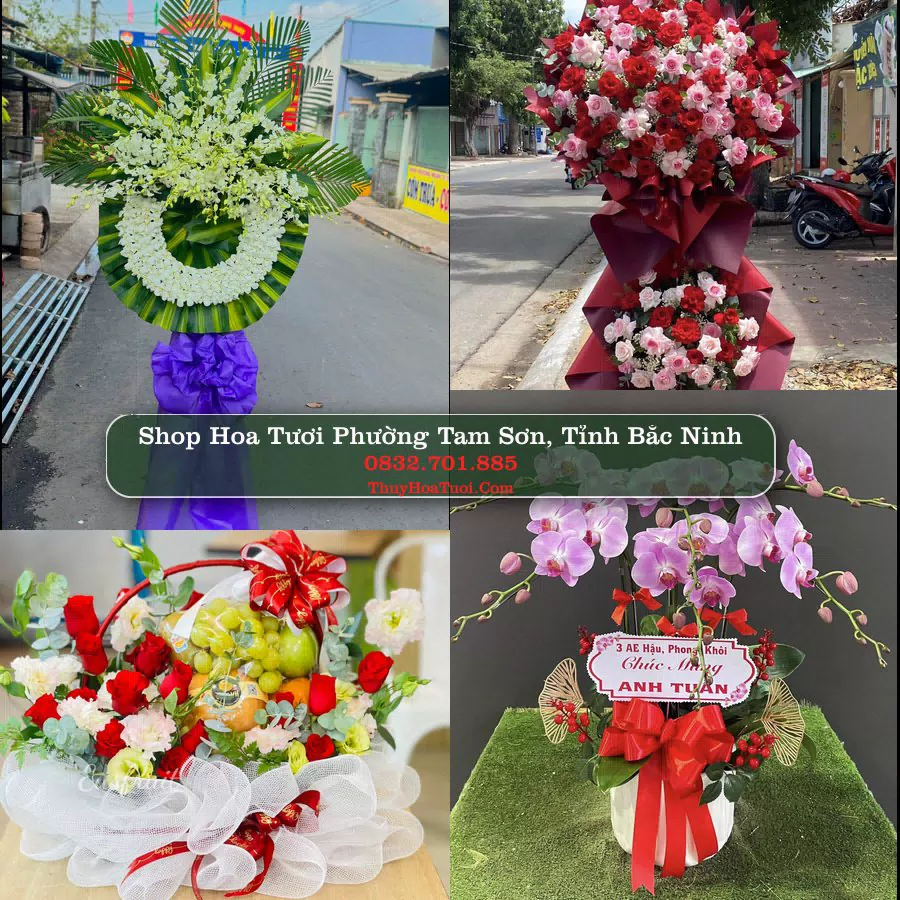 Shop Hoa Tươi Phường Tam Sơn - Tỉnh Bắc Ninh