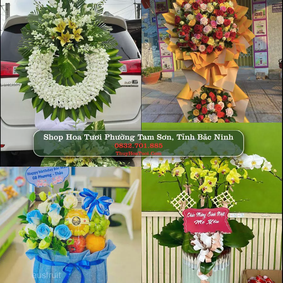 Shop hoa tươi Phường Tam Sơn, Tỉnh Bắc Ninh - ThuyHoaTuoi.Com giao hoa tận nơi