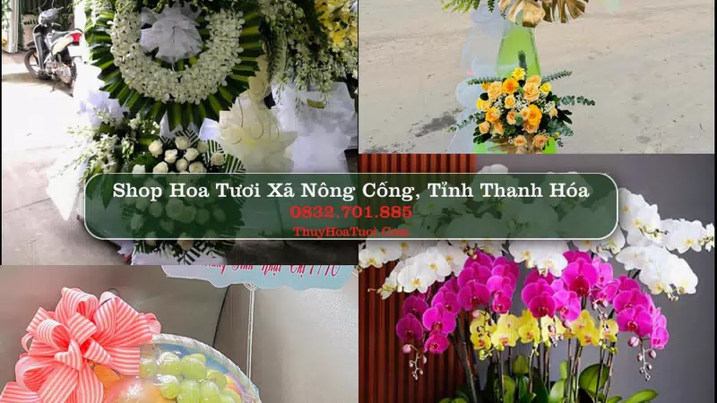 Shop Hoa Tươi Xã Nông Cống - Tỉnh Thanh Hóa
