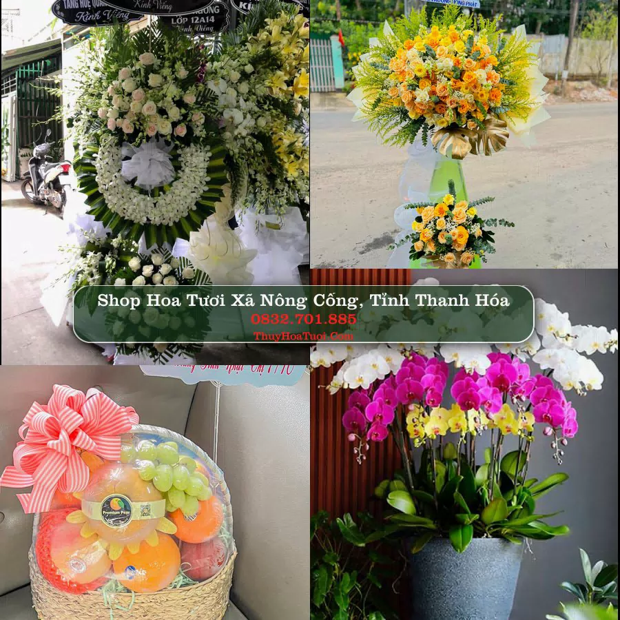 Shop Hoa Tươi Xã Nông Cống - Tỉnh Thanh Hóa