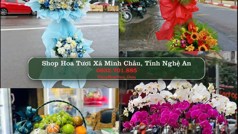 Shop Hoa Tươi Xã Minh Châu - Tỉnh Nghệ An