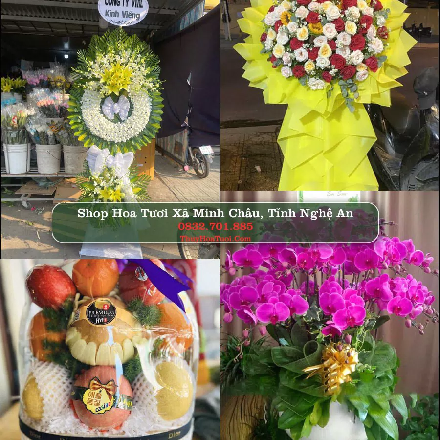 Shop hoa tươi Xã Minh Châu, Tỉnh Nghệ An - ThuyHoaTuoi.Com giao hoa tận nơi