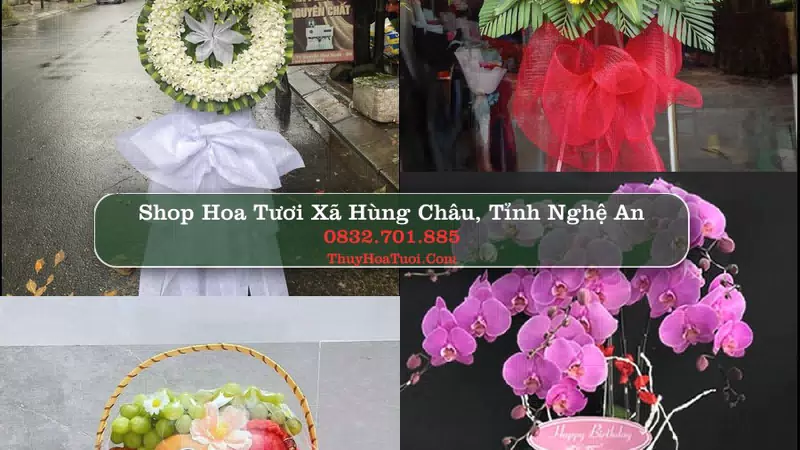 Shop Hoa Tươi Xã Hùng Châu - Tỉnh Nghệ An