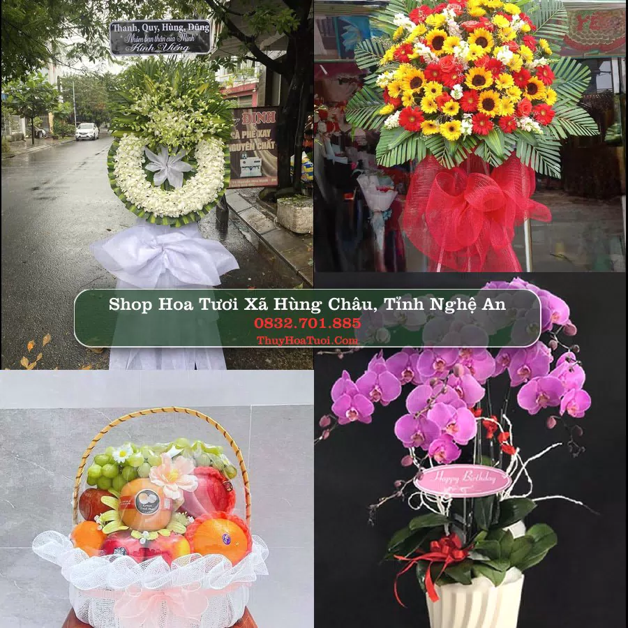 Shop Hoa Tươi Xã Hùng Châu - Tỉnh Nghệ An