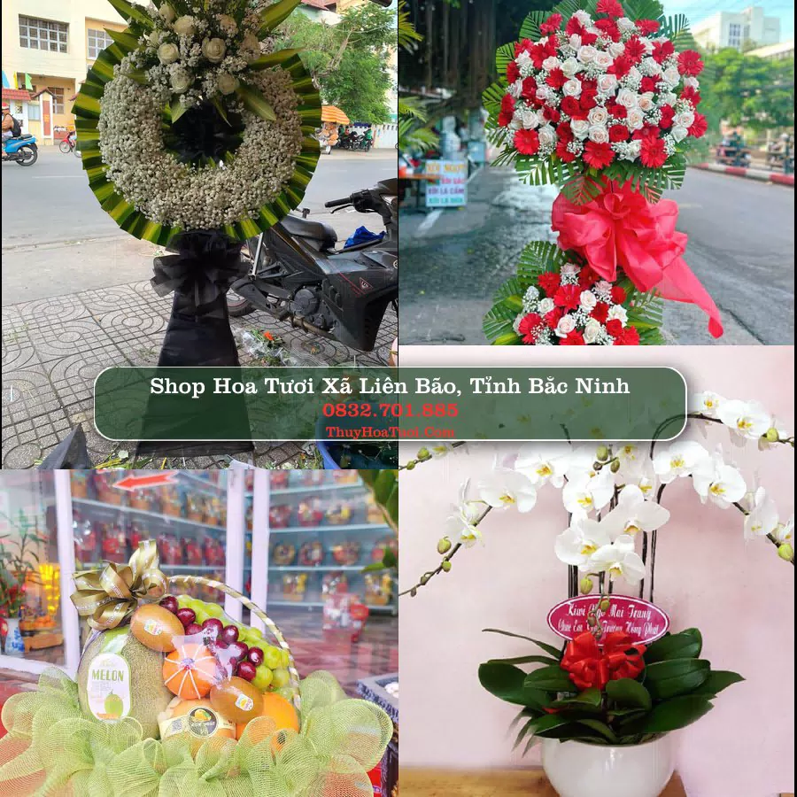 Shop hoa tươi Xã Liên Bão, Tỉnh Bắc Ninh - ThuyHoaTuoi.Com giao hoa tận nơi