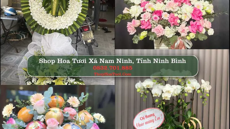 Shop Hoa Tươi Xã Nam Ninh - Tỉnh Ninh Bình