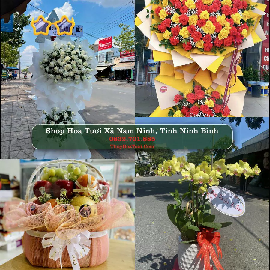 Shop hoa tươi Xã Nam Ninh, Tỉnh Ninh Bình - ThuyHoaTuoi.Com giao hoa tận nơi