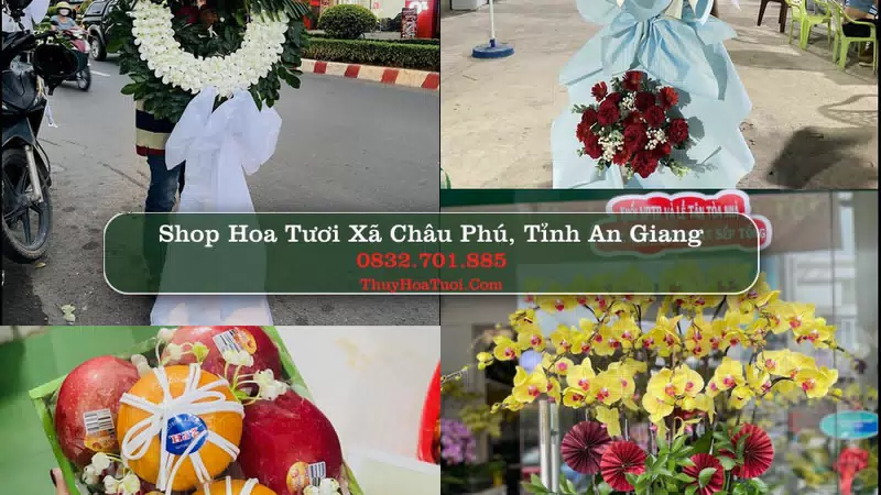 Shop Hoa Tươi Xã Châu Phú - Tỉnh An Giang