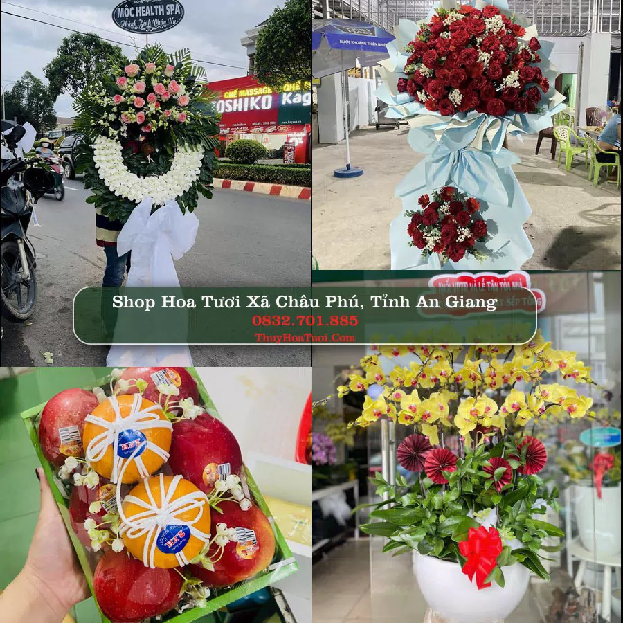 Shop Hoa Tươi Xã Châu Phú - Tỉnh An Giang
