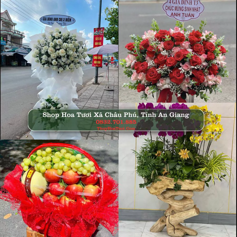 Shop hoa tươi Xã Châu Phú, Tỉnh An Giang - ThuyHoaTuoi.Com giao hoa tận nơi