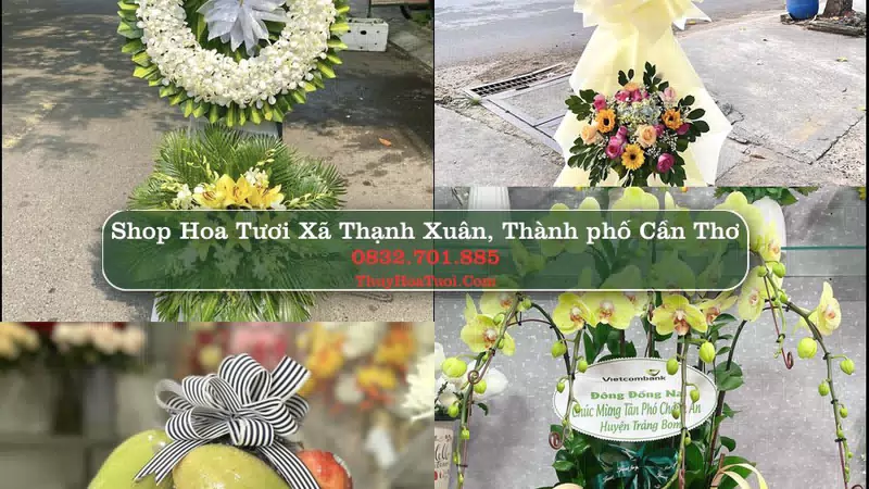 Shop Hoa Tươi Xã Thạnh Xuân - Thành phố Cần Thơ