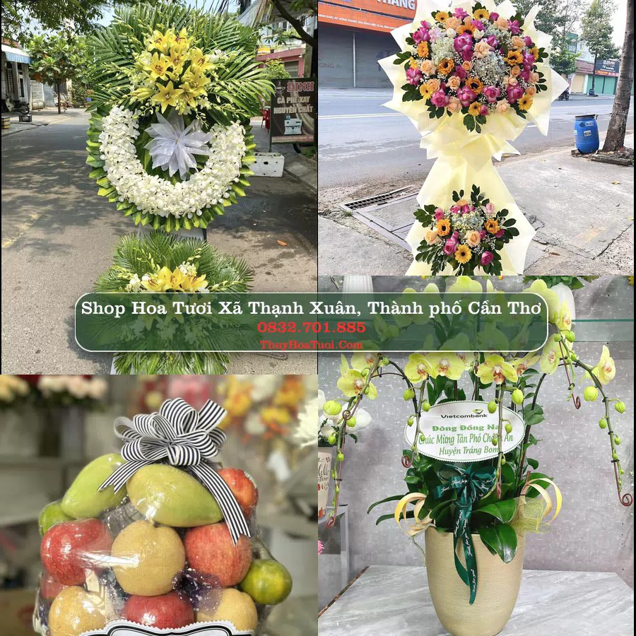 Shop Hoa Tươi Xã Thạnh Xuân - Thành phố Cần Thơ