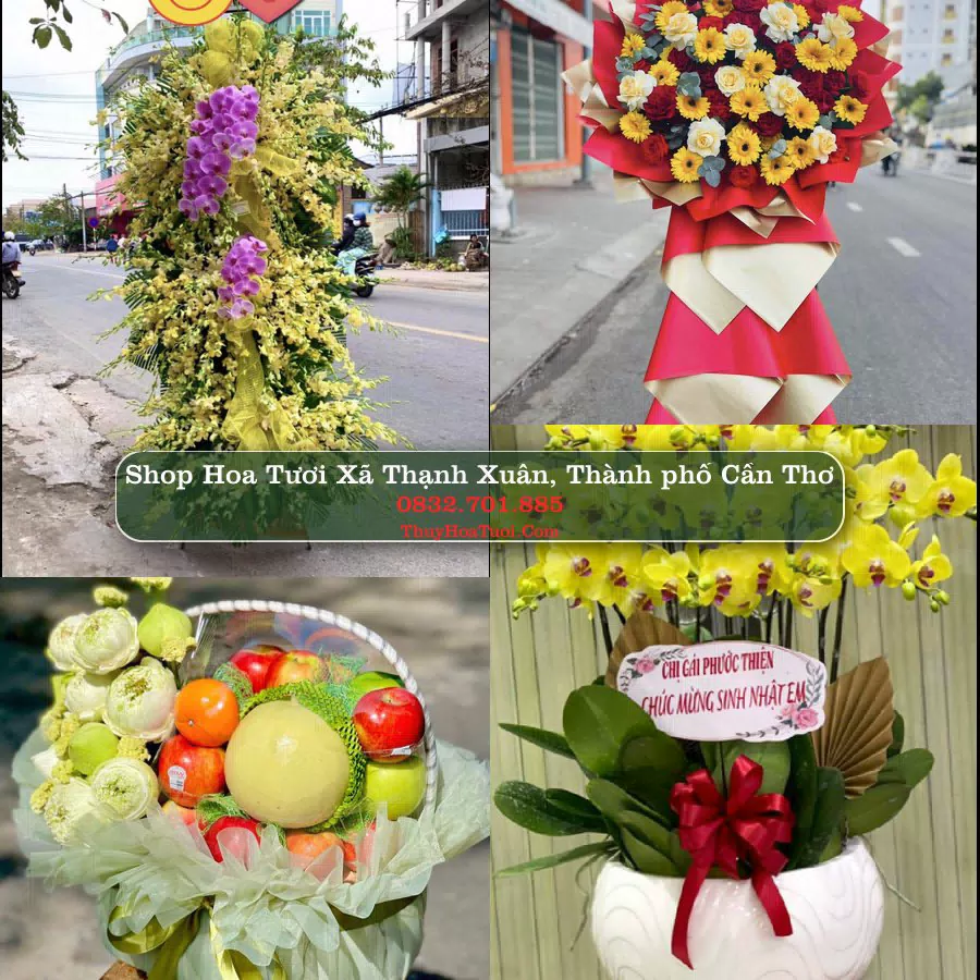 Shop hoa tươi Xã Thạnh Xuân, Thành phố Cần Thơ - ThuyHoaTuoi.Com giao hoa tận nơi