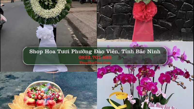 Shop Hoa Tươi Phường Đào Viên - Tỉnh Bắc Ninh