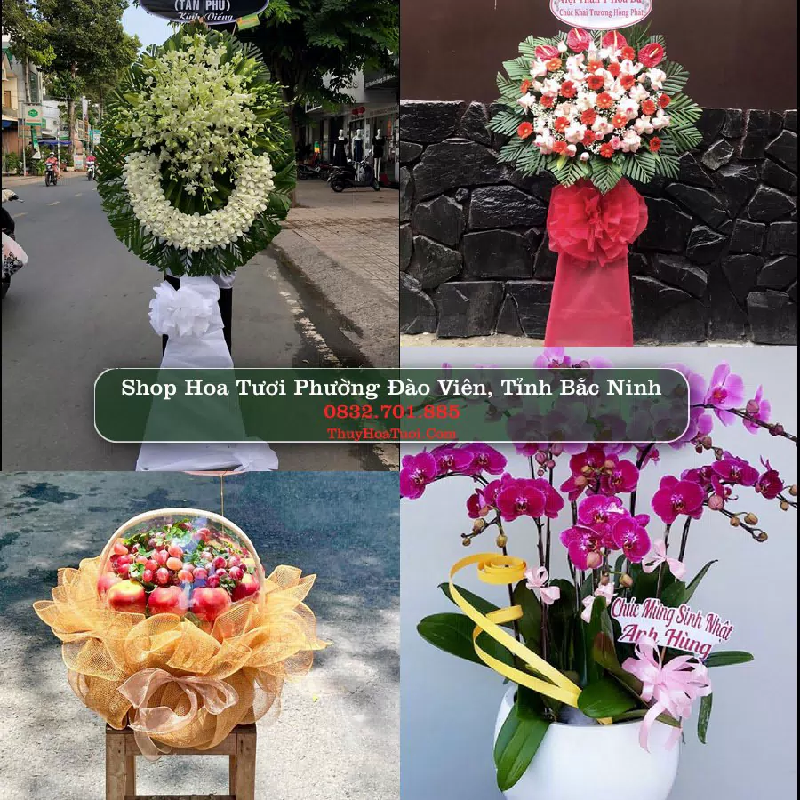 Shop Hoa Tươi Phường Đào Viên - Tỉnh Bắc Ninh
