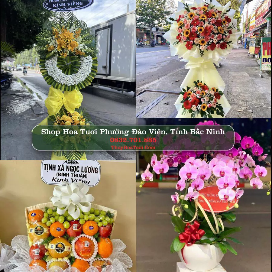 Shop hoa tươi Phường Đào Viên, Tỉnh Bắc Ninh - ThuyHoaTuoi.Com giao hoa tận nơi