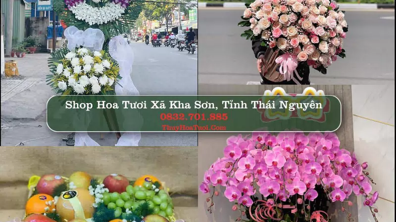 Shop Hoa Tươi Xã Kha Sơn - Tỉnh Thái Nguyên
